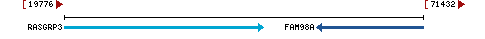 Genomic Context describing neighboring genes