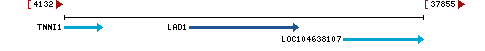 Genomic Context describing neighboring genes