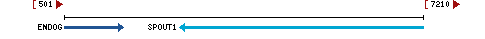 Genomic Context describing neighboring genes