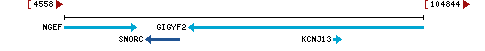 Genomic Context describing neighboring genes