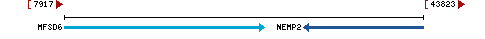 Genomic Context describing neighboring genes