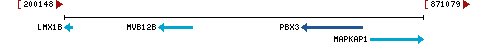 Genomic Context describing neighboring genes