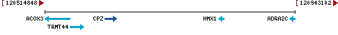 Genomic Context describing neighboring genes