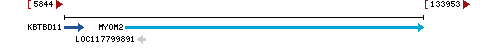 Genomic Context describing neighboring genes