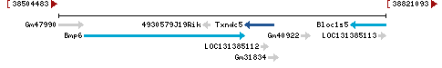 Genomic Context describing neighboring genes