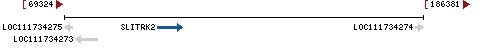 Genomic Context describing neighboring genes