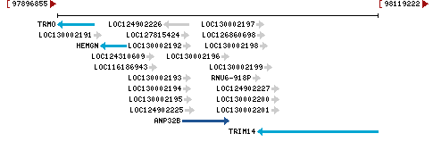 Genomic Context describing neighboring genes