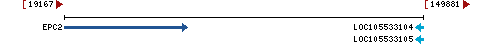 Genomic Context describing neighboring genes