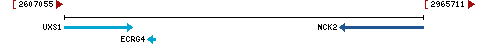 Genomic Context describing neighboring genes