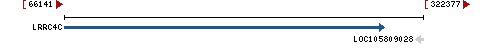 Genomic Context describing neighboring genes