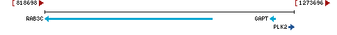 Genomic Context describing neighboring genes