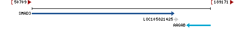 Genomic Context describing neighboring genes