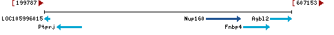 Genomic Context describing neighboring genes