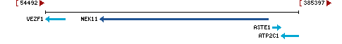 Genomic Context describing neighboring genes