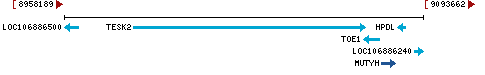 Genomic Context describing neighboring genes