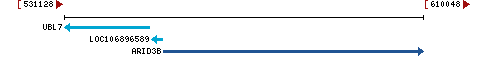 Genomic Context describing neighboring genes