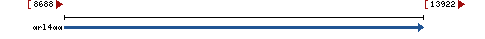 Genomic Context describing neighboring genes