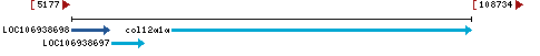 Genomic Context describing neighboring genes