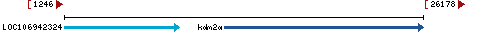 Genomic Context describing neighboring genes