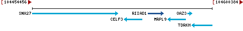 Genomic Context describing neighboring genes