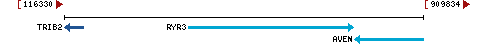 Genomic Context describing neighboring genes