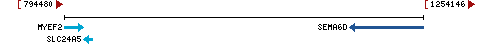 Genomic Context describing neighboring genes