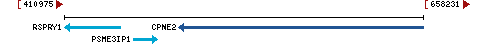 Genomic Context describing neighboring genes