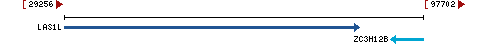 Genomic Context describing neighboring genes