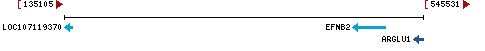 Genomic Context describing neighboring genes