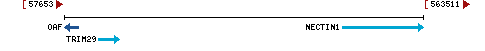 Genomic Context describing neighboring genes