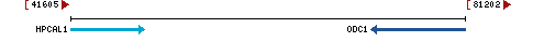 Genomic Context describing neighboring genes