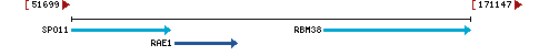 Genomic Context describing neighboring genes