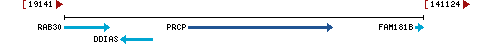 Genomic Context describing neighboring genes