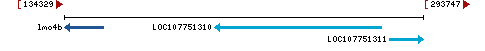 Genomic Context describing neighboring genes