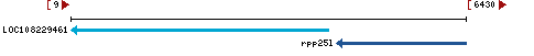 Genomic Context describing neighboring genes