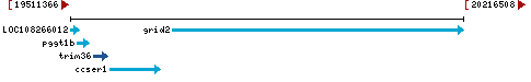 Genomic Context describing neighboring genes