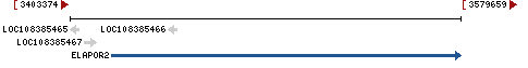 Genomic Context describing neighboring genes