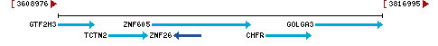 Genomic Context describing neighboring genes