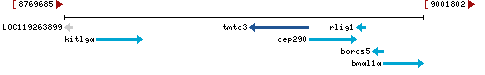 Genomic Context describing neighboring genes