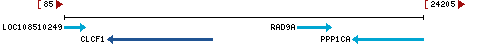 Genomic Context describing neighboring genes