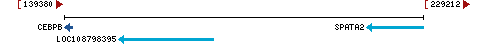 Genomic Context describing neighboring genes