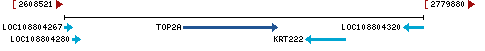 Genomic Context describing neighboring genes