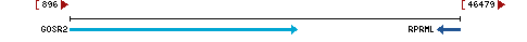 Genomic Context describing neighboring genes