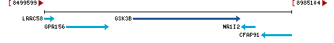 Genomic Context describing neighboring genes