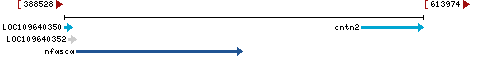 Genomic Context describing neighboring genes