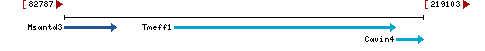 Genomic Context describing neighboring genes