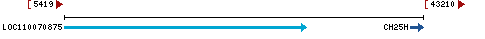 Genomic Context describing neighboring genes