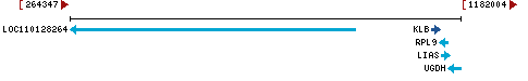 Genomic Context describing neighboring genes