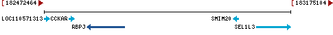 Genomic Context describing neighboring genes