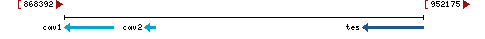 Genomic Context describing neighboring genes